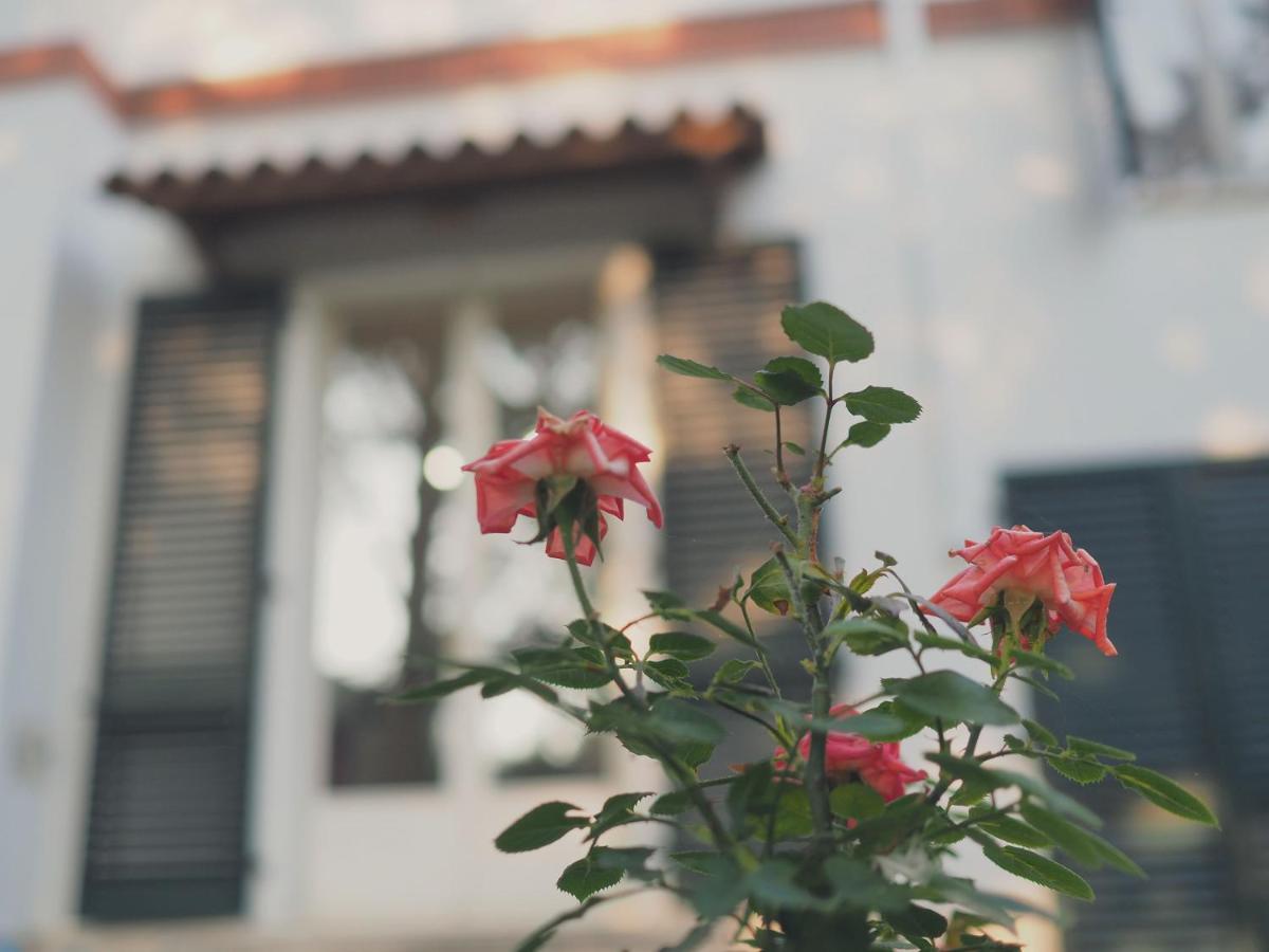 Villa Monti Colli del Tronto エクステリア 写真